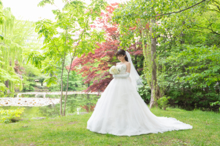 緑の頃のチャペルプランスタンダード道庁公園
