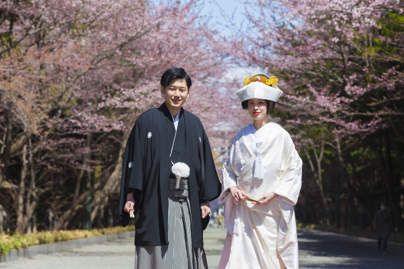 北海道神宮挙式とさくら、サクラ、桜でフォトウェデイング