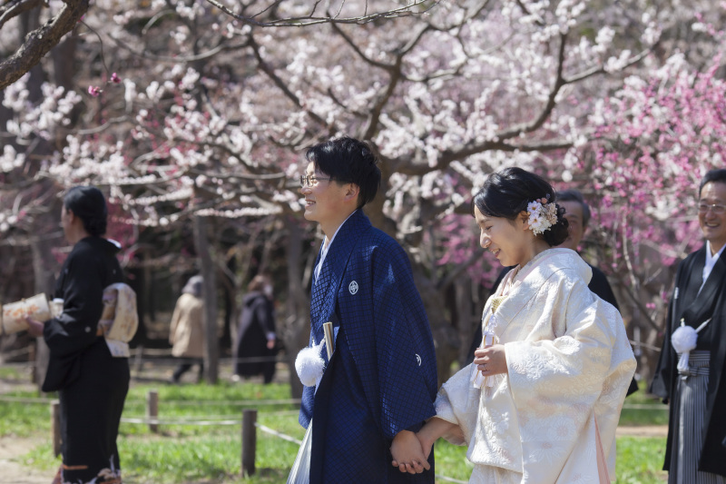 北海道神宮挙式とさくら、サクラ、桜でフォトウェデイング