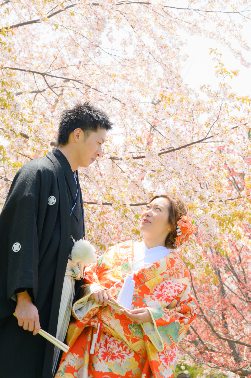 春まち桜フォト和装とチュリップとドレス