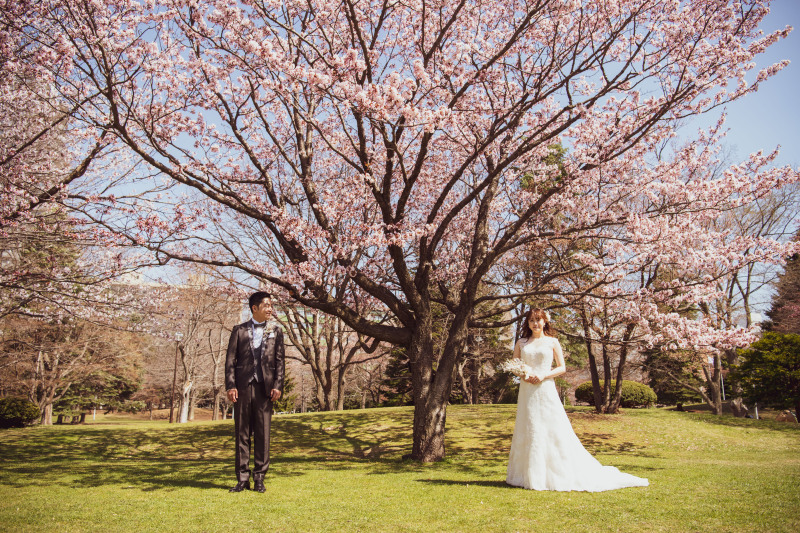 ドレスが映えるさくら、サクラ、桜フォトウェデディング札幌のポイント