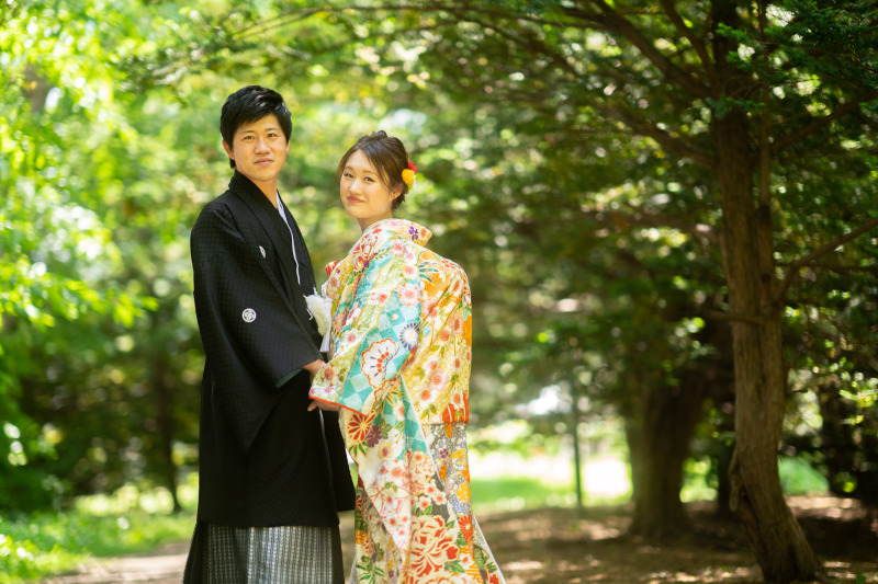 夏の和装道庁公園の緑の中で