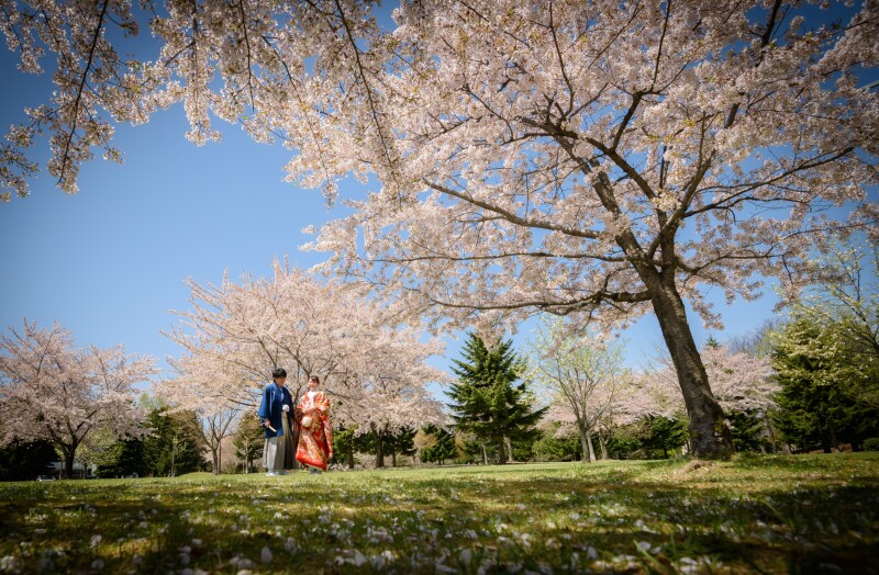 春まち桜フォト和装と洋装そしてゲストハウスで