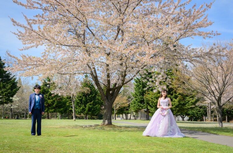 春まち桜フォト和装と洋装そしてゲストハウスで