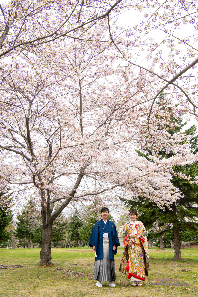 解禁！和装で残すさくら、サクラ、桜　ウェディングフォト