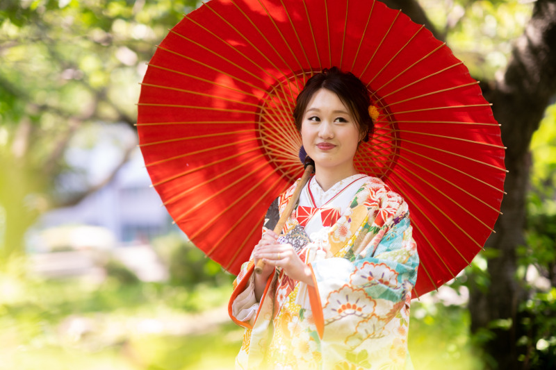夏の和装道庁公園の緑の中で