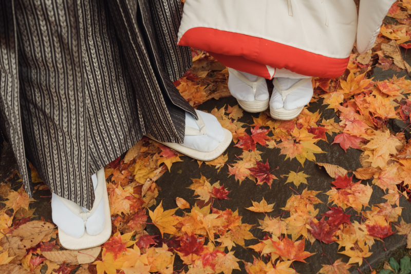 紅葉結婚写真のご案内