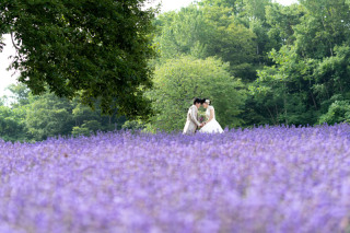 札幌のラベンダー畑とモエレ沼公園そしてガラスのピラミッドゴージャスなフォト