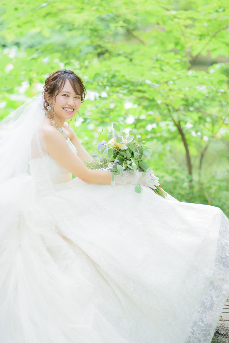 緑が芽吹き始める新緑のフォト