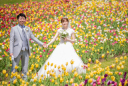 お花畑フォトウェデイング春一番はチューリップ畑！滝野すずらん公園は札幌市内です