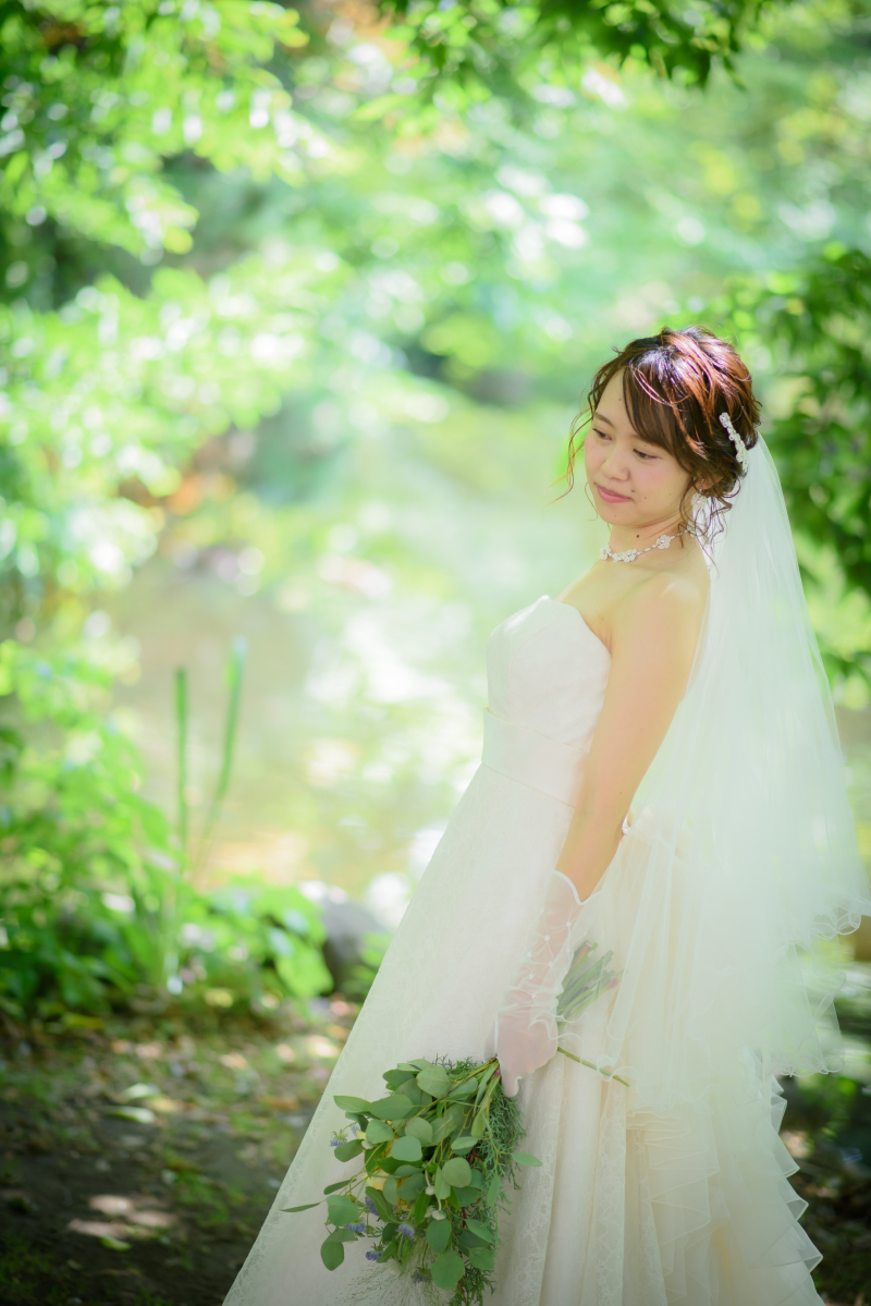 緑が芽吹き始める新緑のフォト