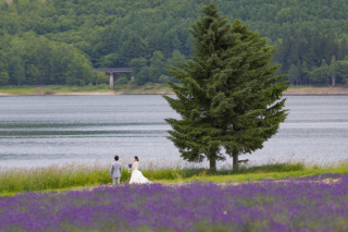 南富良野かなやま湖ラベンダーフォトウェデイング