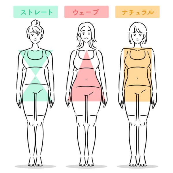 骨格の3スタイルで素敵に映えるドレスラインのお話し3