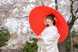 札幌さくら、サクラ、桜フォトウェデイング和装2点ですてきに