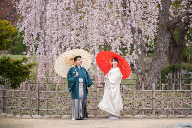  桜・さくらサクラフォトウェディング2026｜オトナフォト【開花予想・予約状況】