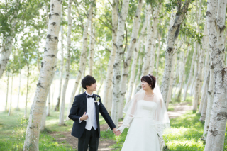 モエレ沼公園移動