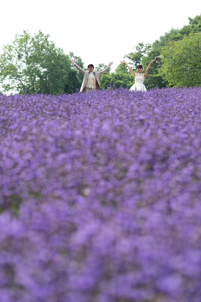 初夏モエレ沼公園から幌見峠ラベンダーウェデイングドレスでフォトウェデイング