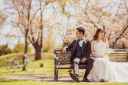 ドレスが映えるさくら、サクラ、桜フォトウェデディング札幌のポイント