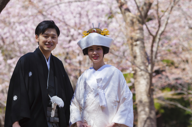 北海道神宮挙式とさくら、サクラ、桜でフォトウェデイング