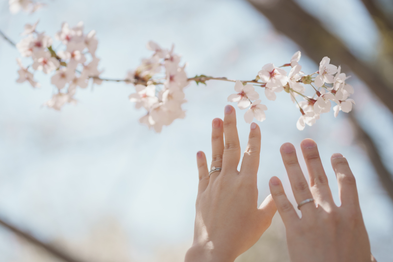 ご姉妹3名オトナフォトご体験のご新婦様桜で洋装2点オトナフォト