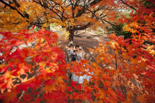 オトナフォトが衣裳を2点、3点楽しめる秘密その１