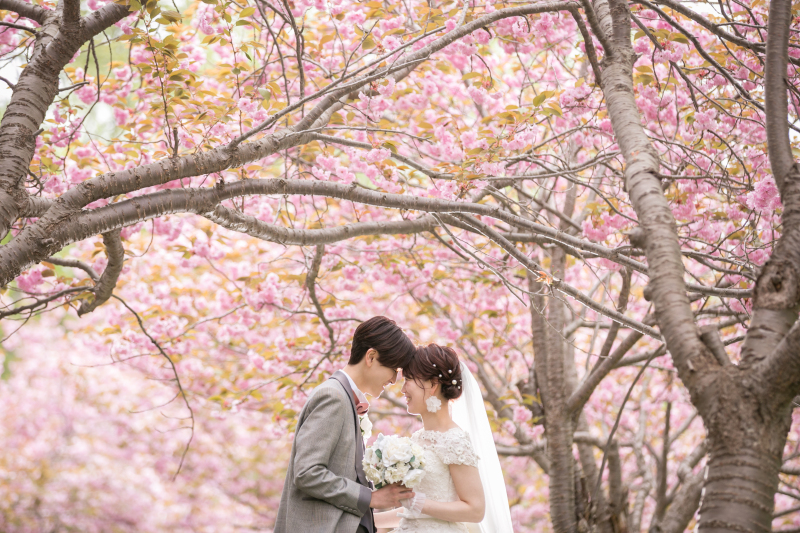  桜・さくらサクラフォトウェディング2026｜オトナフォト【開花予想・予約状況】