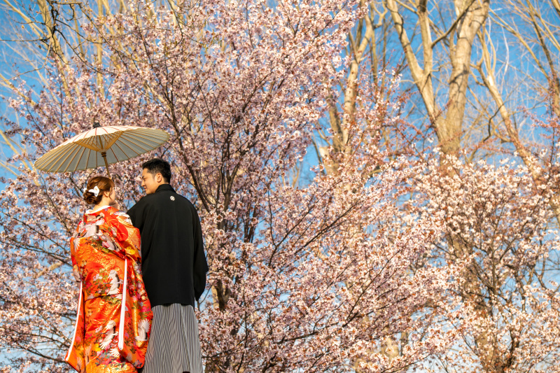 解禁！和装で残すさくら、サクラ、桜　ウェディングフォト