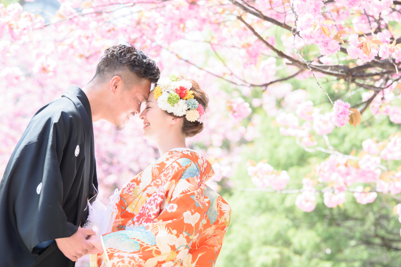 解禁！和装で残すさくら、サクラ、桜　ウェディングフォト
