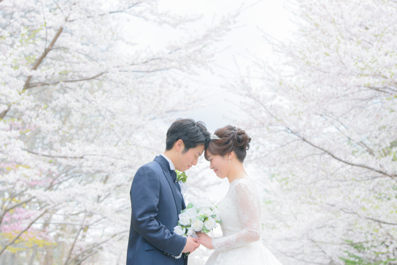 ドレスが映えるさくら、サクラ、桜フォトウェデディング札幌のポイント