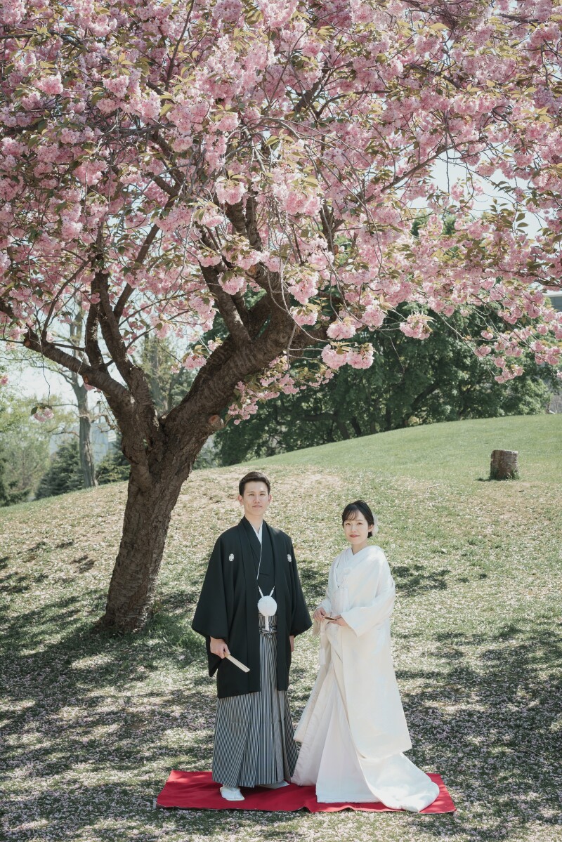  桜・さくらサクラフォトウェディング2026｜オトナフォト【開花予想・予約状況】