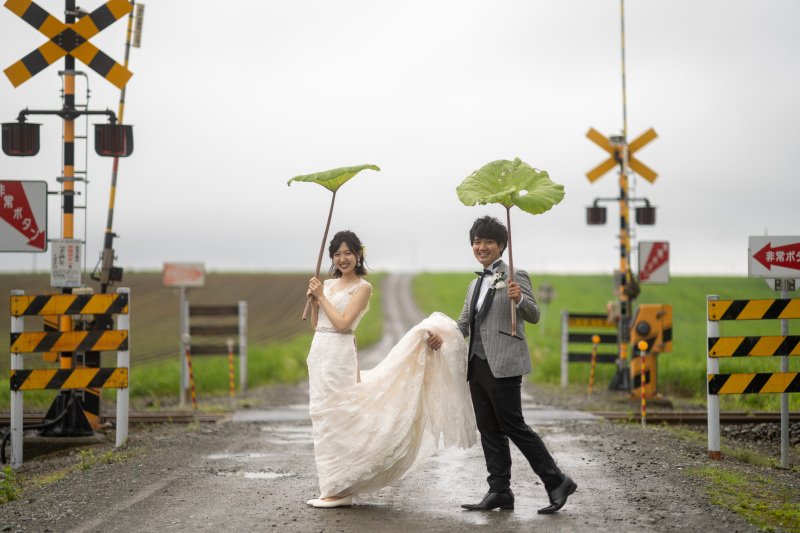 春菜の花畑の撮影ご予約のご案内