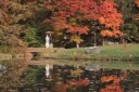 紅葉結婚写真まだ間に合います