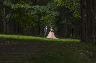 グリーン！green！キャンペーンのお知らせ