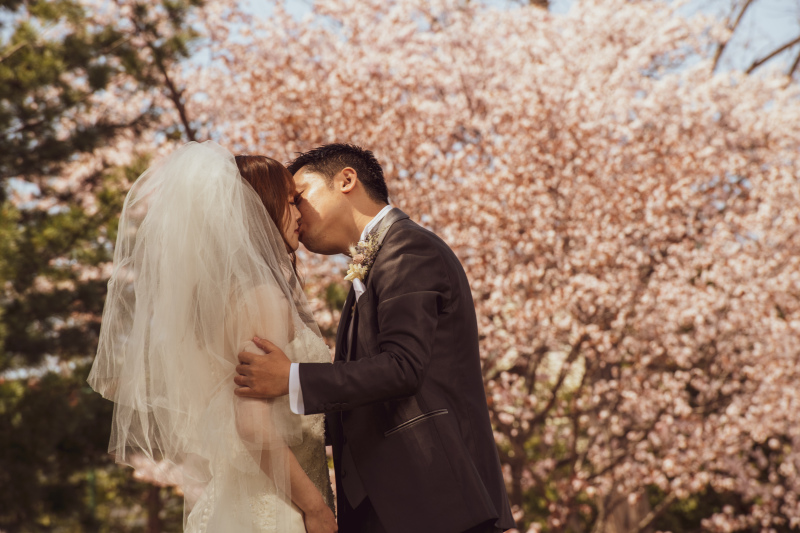 ドレスが映えるさくら、サクラ、桜フォトウェデディング札幌のポイント