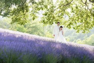 ラベンダー畑実は札幌にもあるんです！