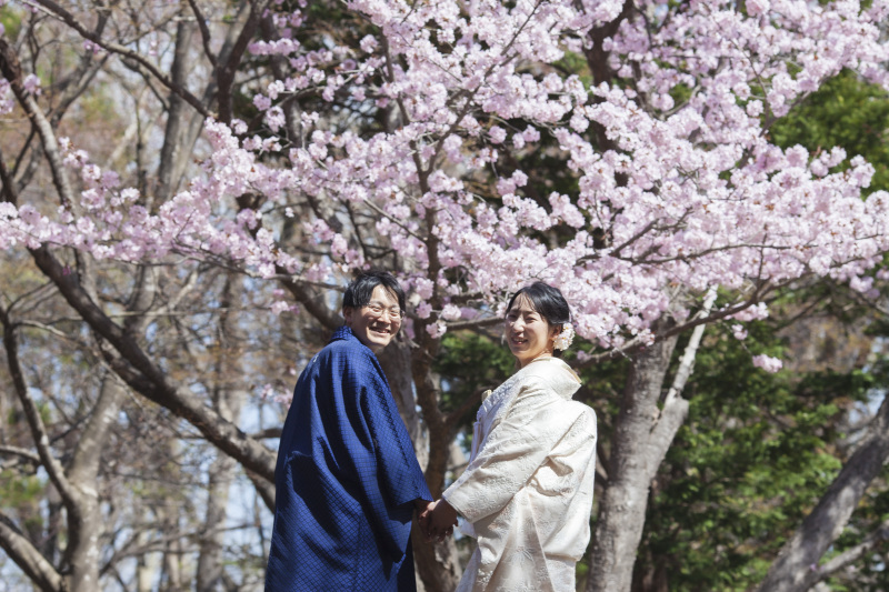 北海道神宮挙式とさくら、サクラ、桜でフォトウェデイング