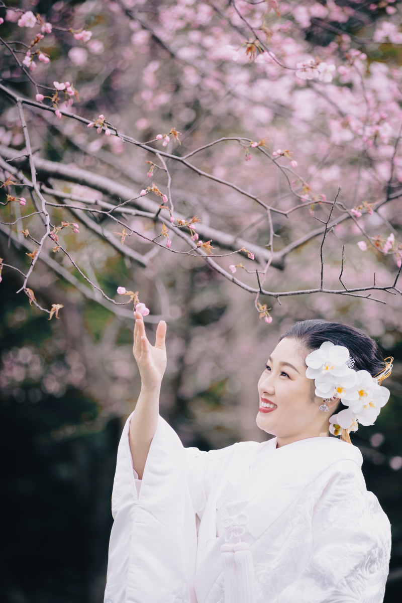  桜・さくらサクラフォトウェディング2026｜オトナフォト【開花予想・予約状況】