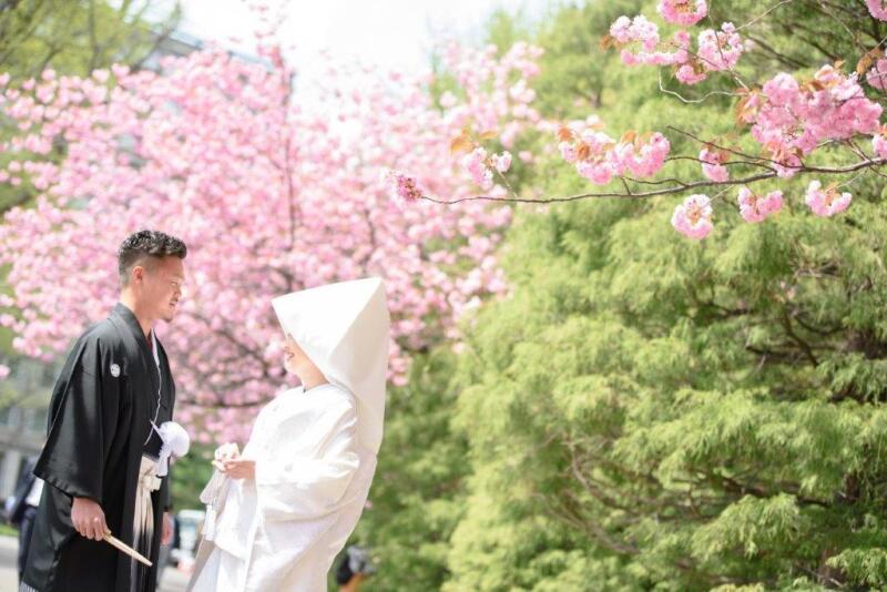 解禁!春まち!桜・サクラ・さくらフォトウェデイングのお知らせ!