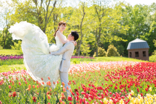 滝野すずらん公園フォトウェディング春のチュウリップ畑ご予約のご案内
