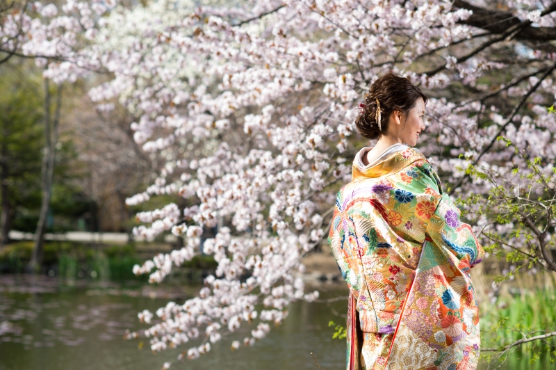解禁！和装で残すさくら、サクラ、桜　ウェディングフォト