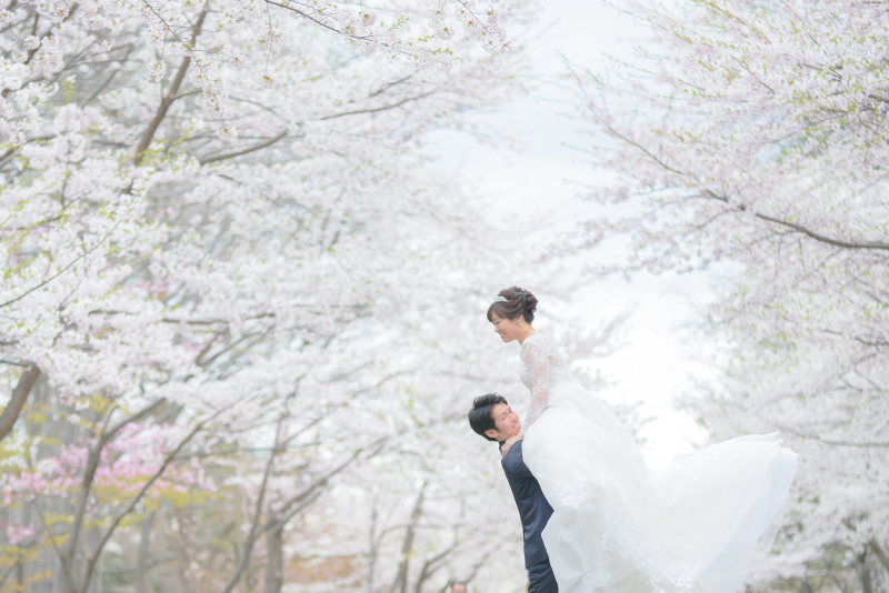解禁!春まち!桜・サクラ・さくらフォトウェデイングのお知らせ!