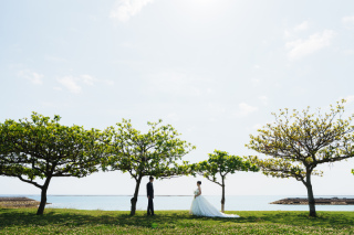 グリーン撮影について♪