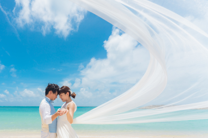 真っ白なドレスを見にまとって