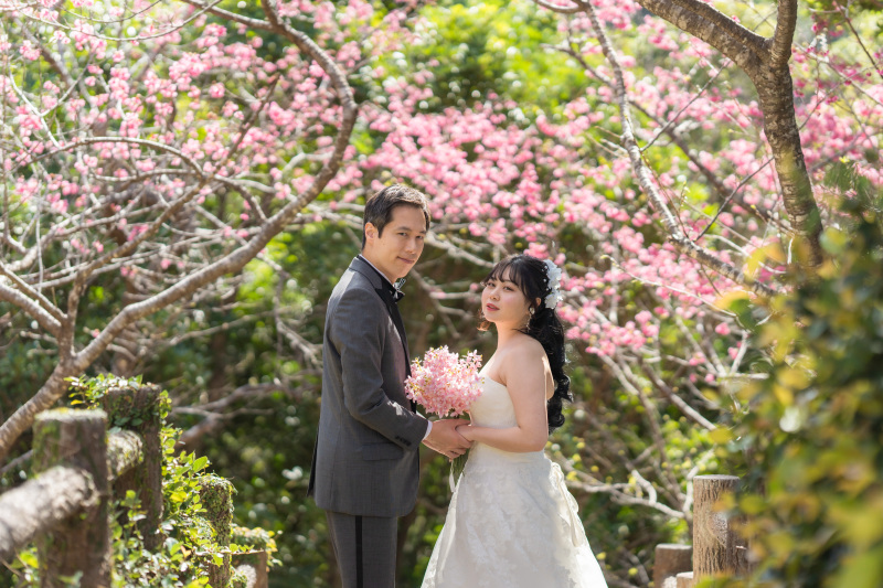 桜&ビーチ