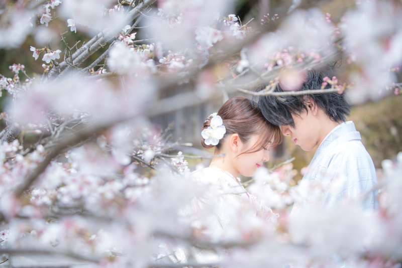 桜ロケ!スタッフ一押しの必見スポット3選