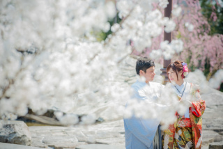 桜の季節のロケーションフォトは2月までに予約を!!