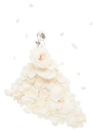 新作ドレスコレクション!