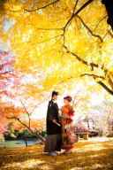 秋のロケーション撮影