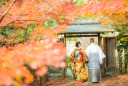 紅葉フォトまとめ
