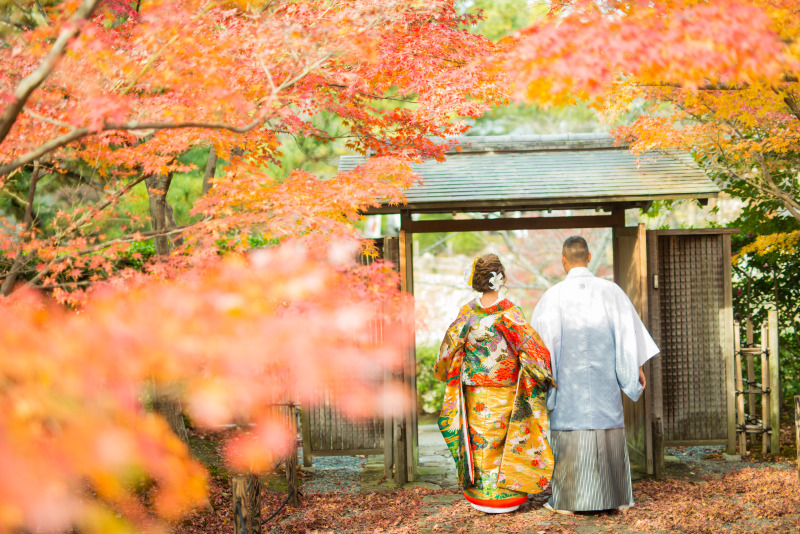 紅葉フォトまとめ